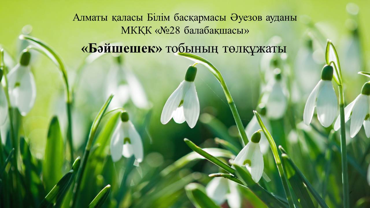 Бәйшешек